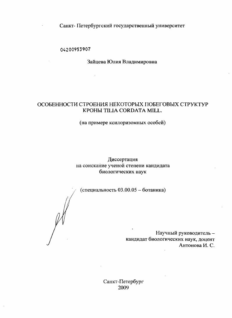 скачать диссертацию Особенности строения некоторых побеговых структур кроны Tilia cordata mill. : на примере ксилоризомных особей Особенности строения некоторых побеговых структур кроны Tilia cordata mill. : на примере ксилоризомных особей