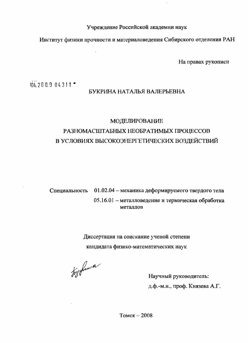 Моделирование разномасштабных необратимых процессов в условиях высокоэнергетических воздействий