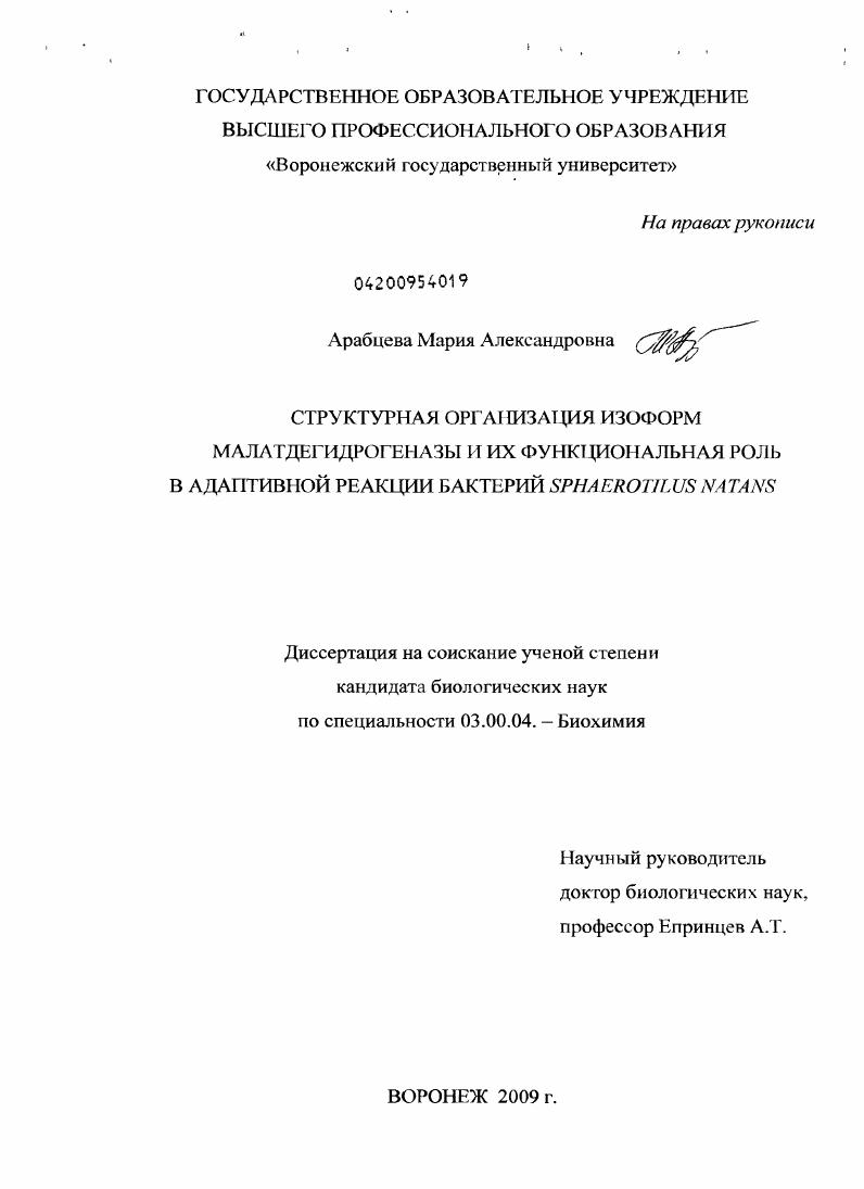 скачать диссертацию Структурная организация изоформ малатдегидрогеназы и их функциональная роль в адаптивной реакции бактерий Sphaerotilus Natans Структурная организация изоформ малатдегидрогеназы и их функциональная роль в адаптивной реакции бактерий Sphaerotilus Natans