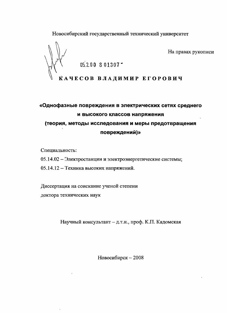 Однофазные повреждения в электрических сетях среднего и высокого классов напряжения : теория, методы исследования и меры предотвращения повреждений