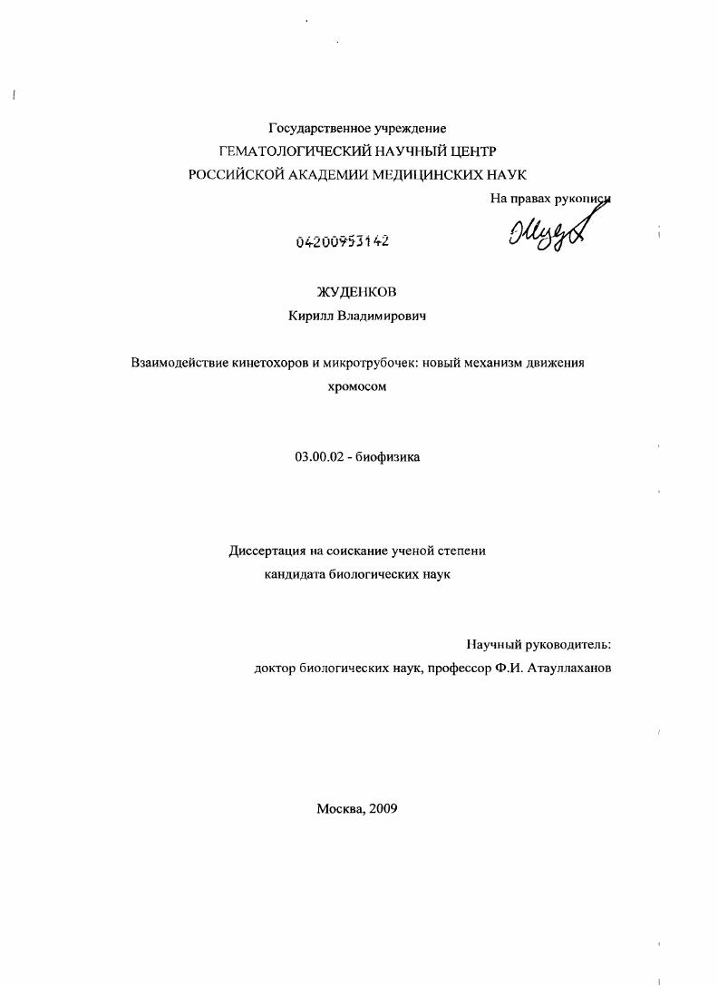 Взаимодействие кинетохоров и микротрубочек: новый механизм движения хромосом