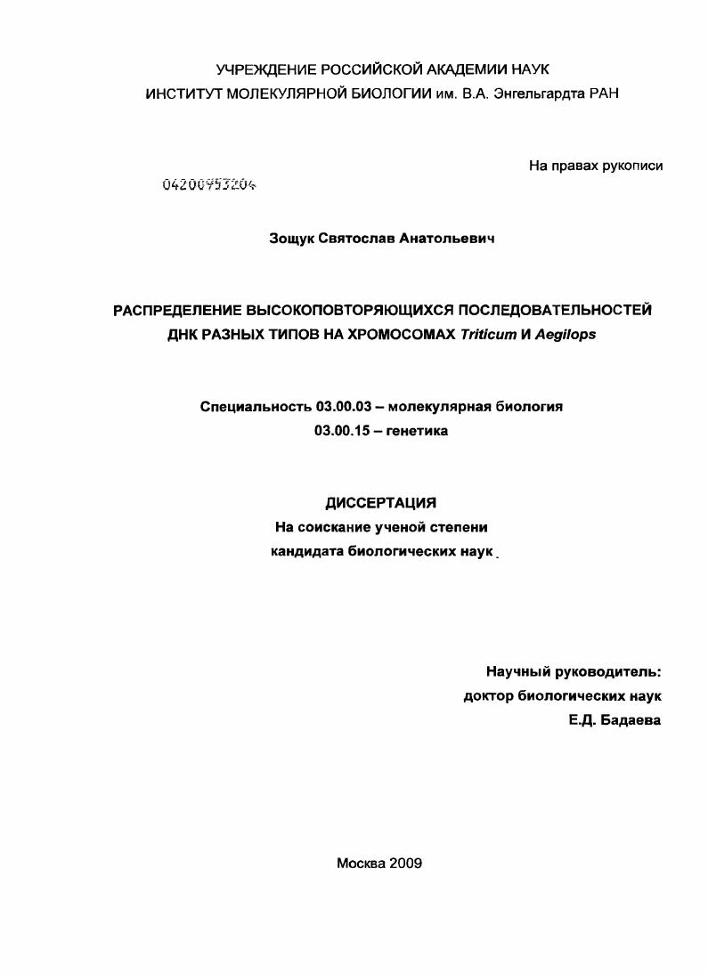 скачать диссертацию Распределение высокоповторяющихся последовательностей ДНК разных типов на хромосомах Triticum и Aegilops Распределение высокоповторяющихся последовательностей ДНК разных типов на хромосомах Triticum и Aegilops