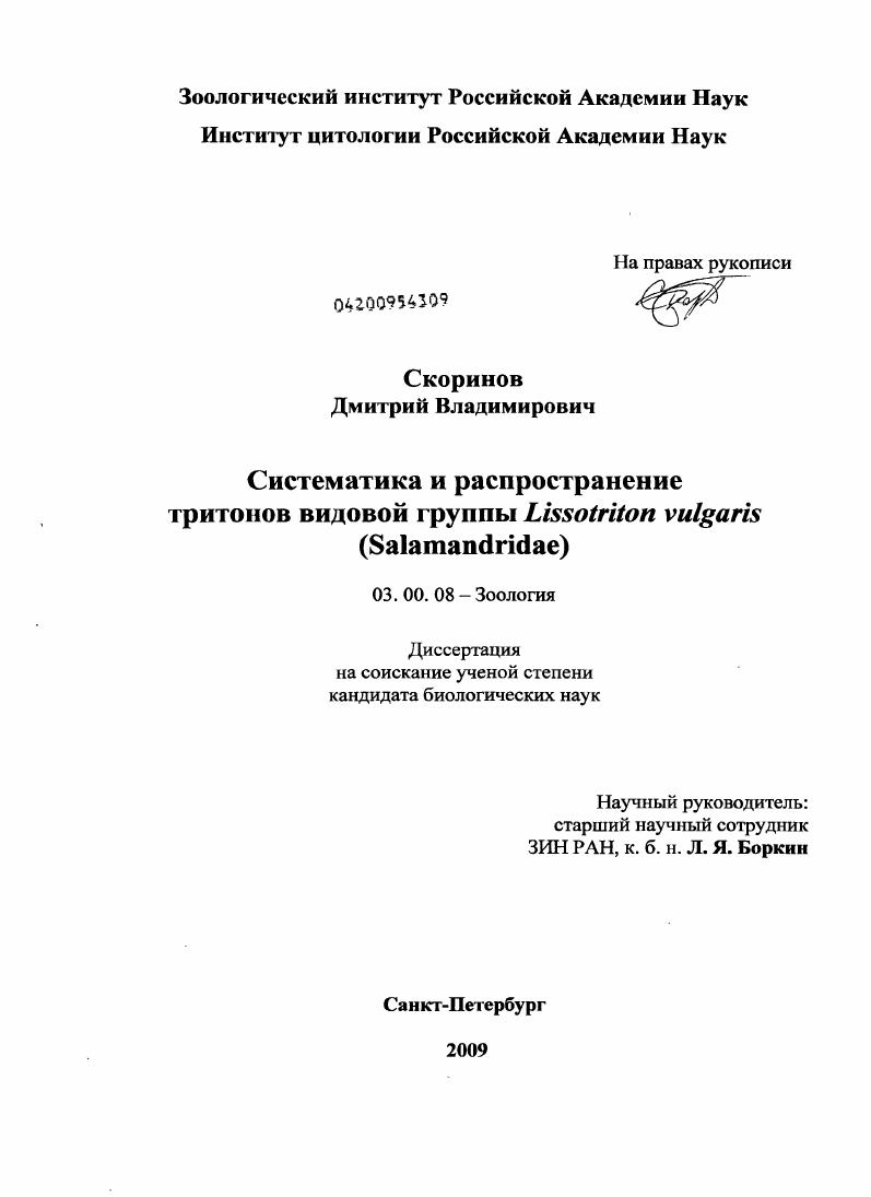 скачать диссертацию Систематика и распространение тритонов видовой группы Lissotriton vulgaris (Salamandridae) Систематика и распространение тритонов видовой группы Lissotriton vulgaris (Salamandridae)