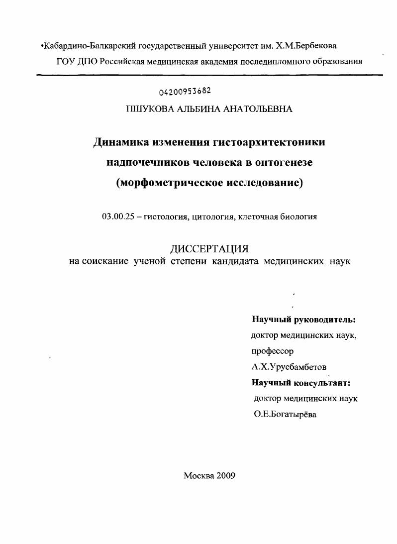Динамика изменения гистоархитектоники надпочечников человека в онтогенезе (морфометрическое исследование)