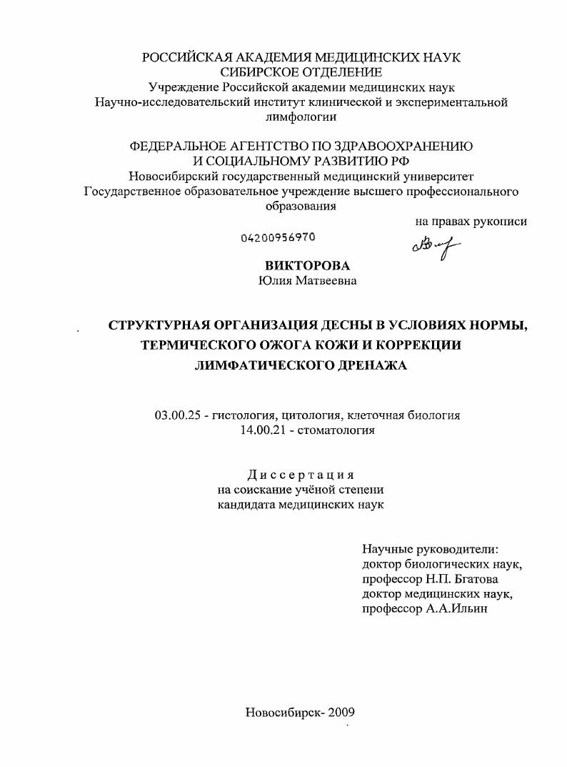 СТРУКТУРНАЯ ОРГАНИЗАЦИЯ ДЕСНЫ В УСЛОВИЯХ НОРМЫ, ТЕРМИЧЕСКОГО ОЖОГА КОЖИ И КОРРЕКЦИИ ЛИМФАТИЧЕСКОГО ДРЕНАЖА