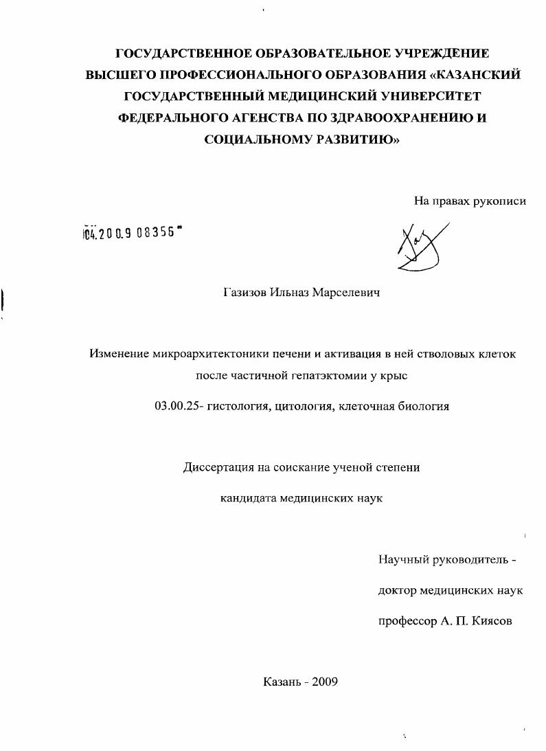 Изменение микроархитектоники печени и активация в ней стволовых клеток после частичной гепатэктомии у крыс