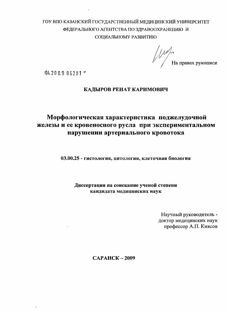 Морфологическая характеристика поджелудочной железы и ее кровеносного русла при экспериментальном нарушении артериального кровотока
