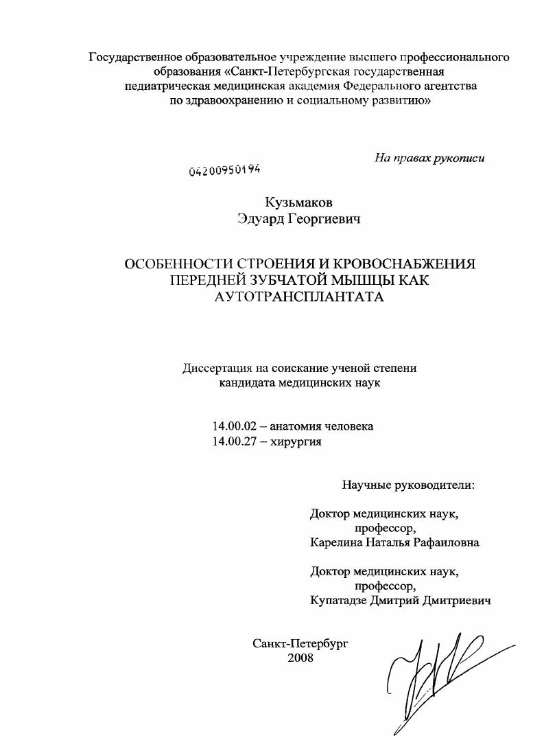 Особенности строения и кровоснабжения передней зубчатой мышцы как аутотрансплантата
