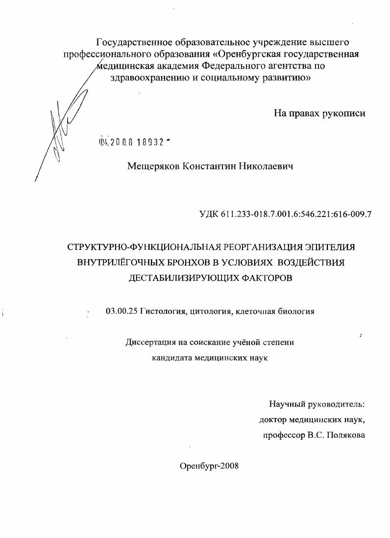 Структурно-функциональная реорганизация эпителия внутрилегочных бронхов в условиях воздействия дестабилизирующих факторов