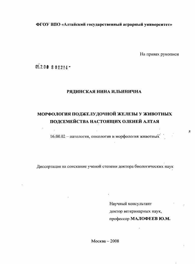 Морфология поджелудочной железы у животных подсемейства настоящих оленей Алтая