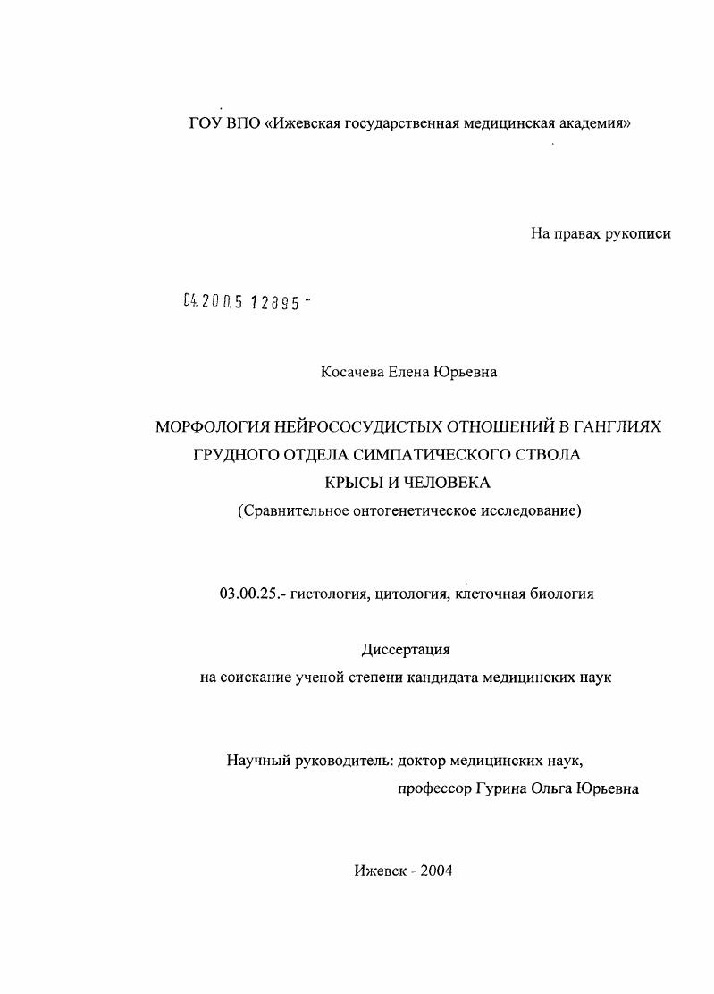 Морфология нейрососудистых отношений в ганглиях грудного отдела симпатического ствола крысы и человека