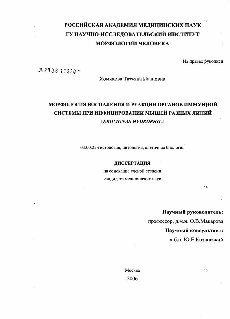 Морфология воспаления и реакции органов иммунной системы при инфицировании мышей разных линий Aeromonas hydrophila