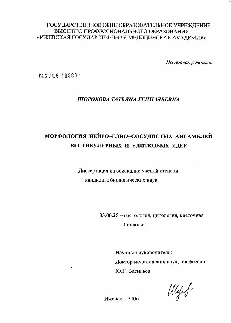 Морфология нейро-глио-сосудистых ансамблей вестибулярных и улитковых ядер
