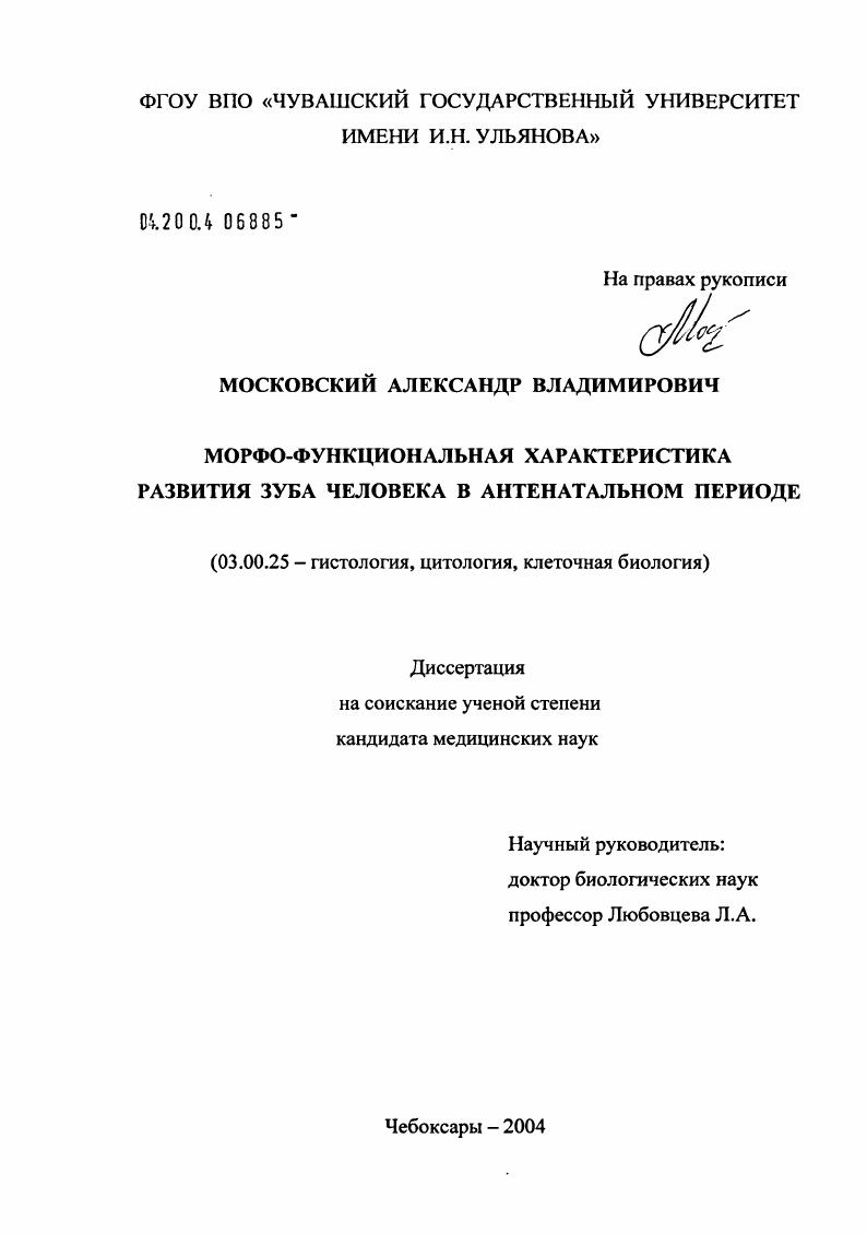 Морфофункциональная характеристика развития зуба человека в антенатальном периоде