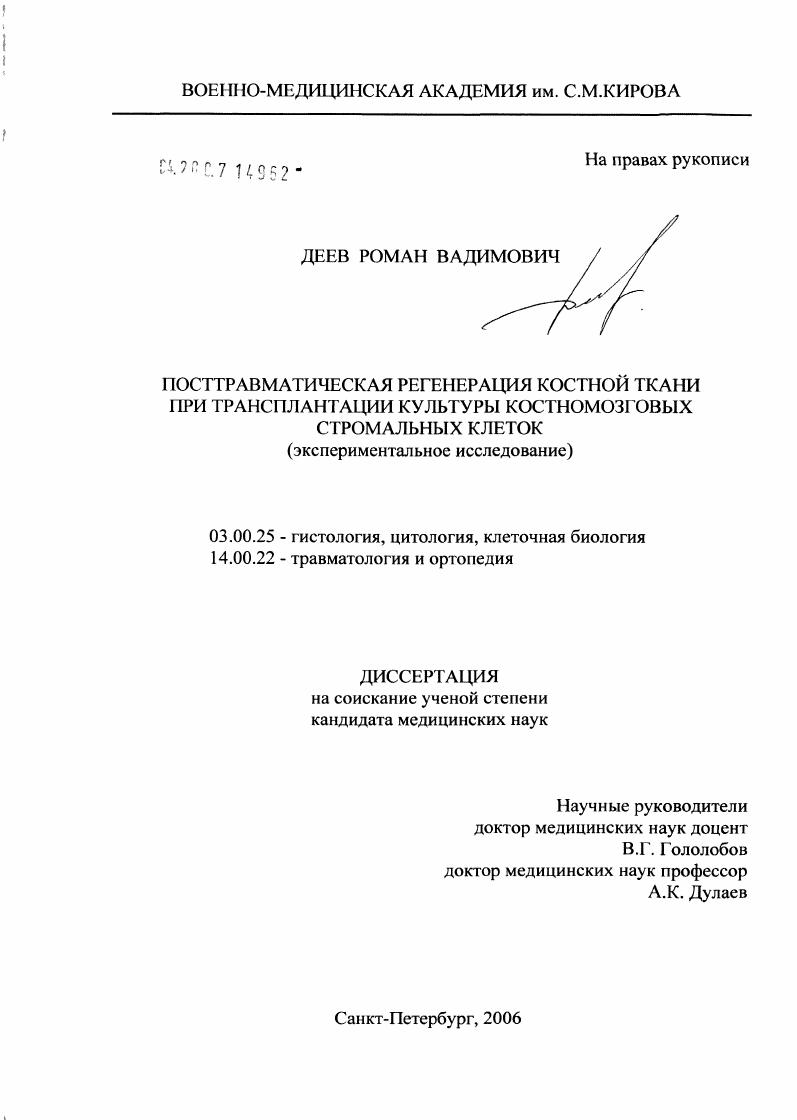 Посттравматическая регенерация костной ткани при трансплантации культуры костно-мозговоых стромальных клеток (экспериментальное исследование)