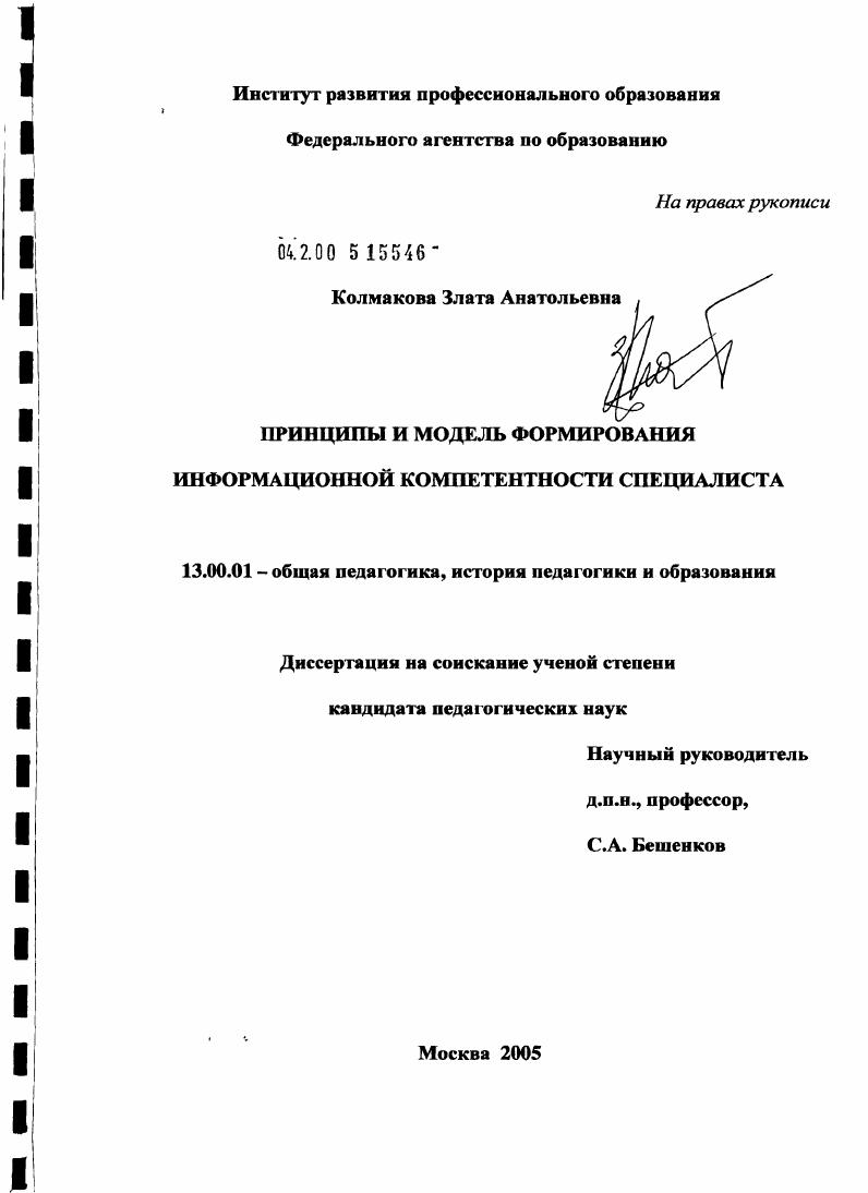 скачать диссертацию Принципы и модель формирования информационной компетентности специалиста Принципы и модель формирования информационной компетентности специалиста