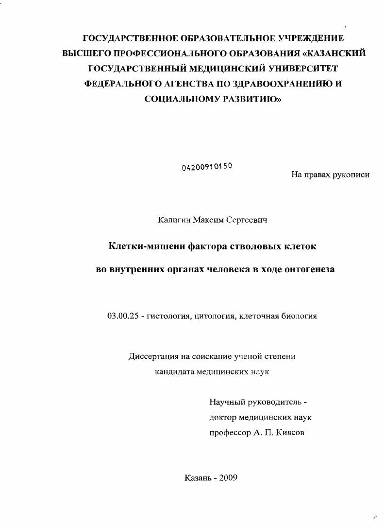 Клетки-мишени фактора стволовых клеток во внутренних органах человека в ходе онтогенеза