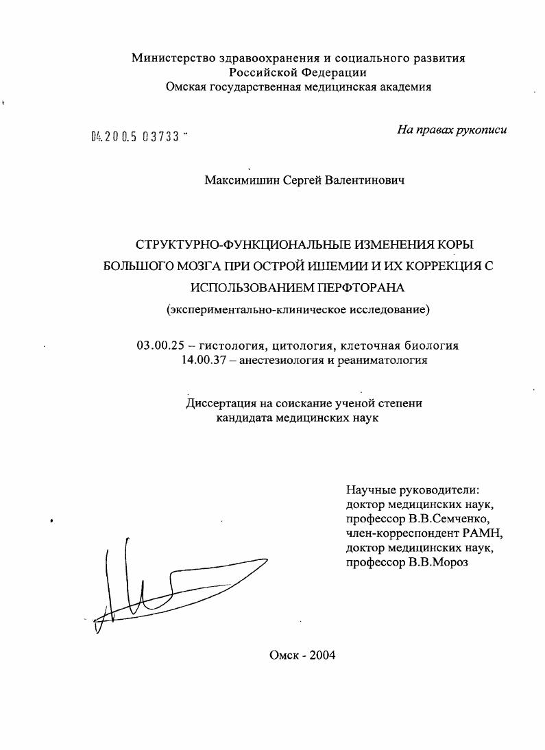 Структурно-функциональные изменения коры большого мозга при острой ишемии и их коррекции с использованием перфторана