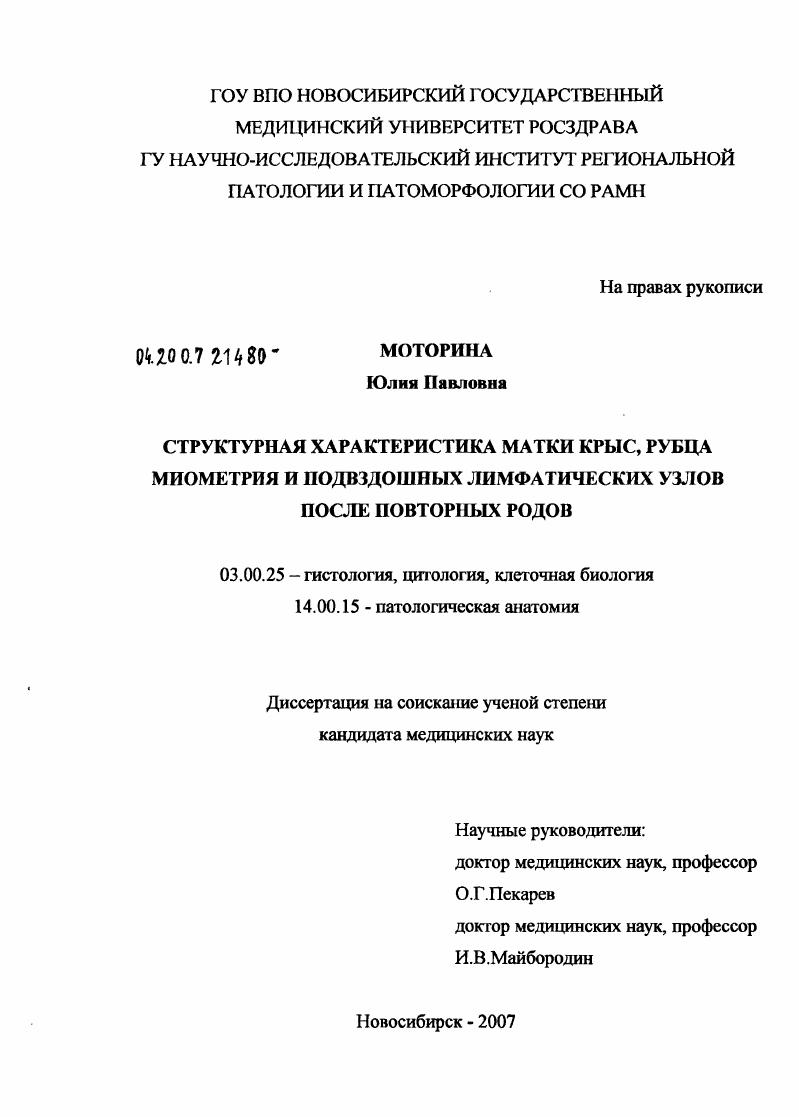 Структурная характеристика матки крыс, рубца миометрия и подвздошных лимфатических узлов после повторных родов