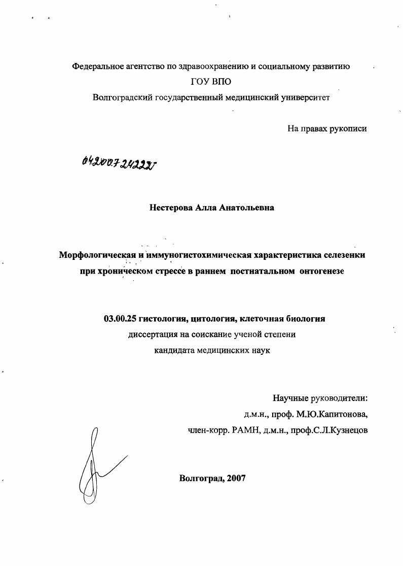 Морфологическая и иммуногистохимическая характеристика селезенки при хроническом стрессе в раннем постнатальном онтогенезе