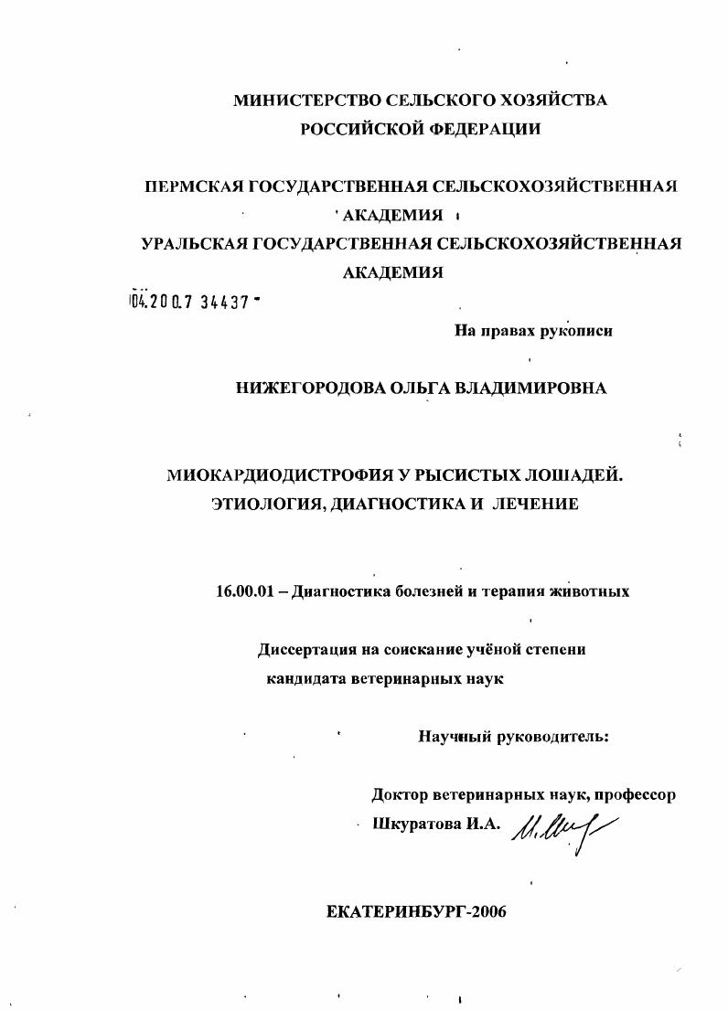 Миокардиодистрофия у рысистых лошадей. Этиология, диагностика и лечение