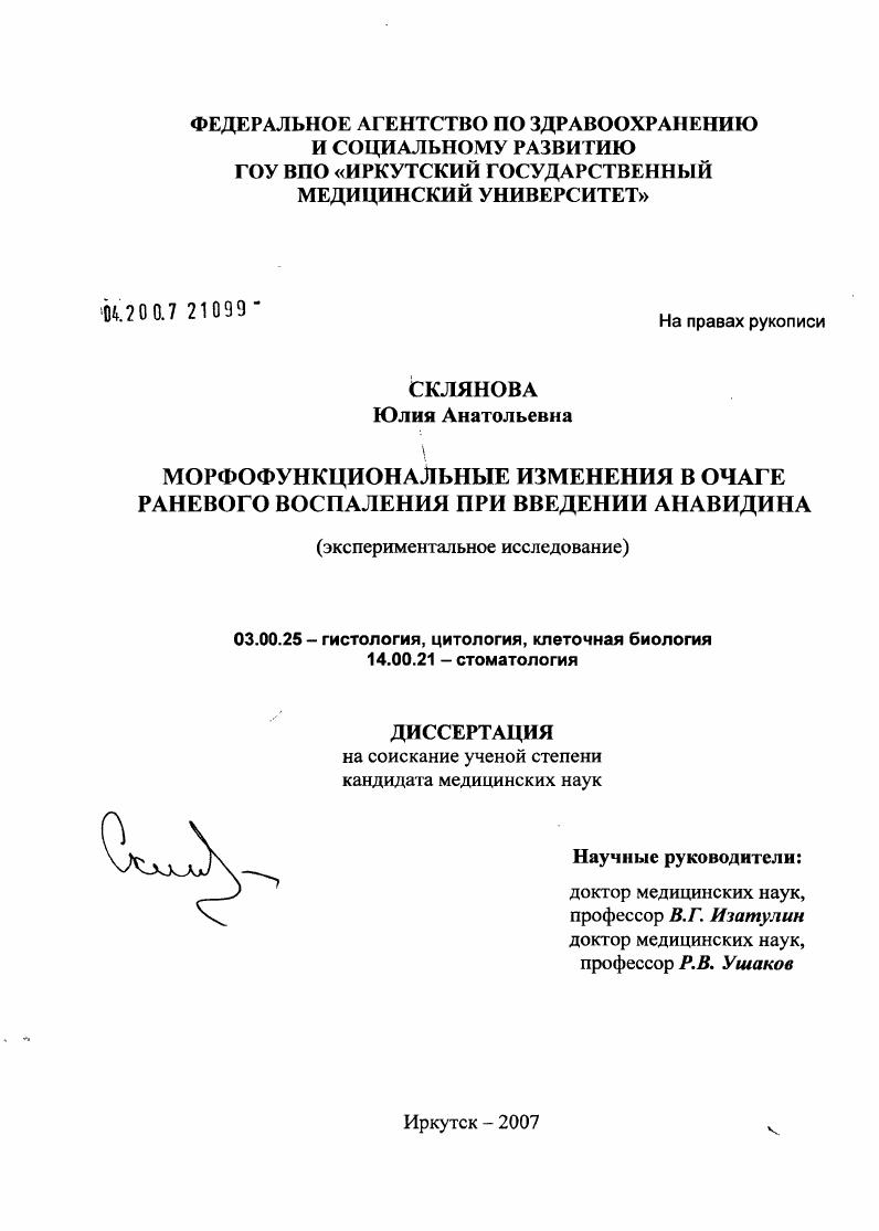 Морфофункциональные изменения в очаге раневого воспаления при введении Анавидина (экспериментальное исследование)