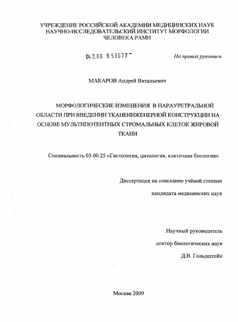 Морфологические изменения в парауретральной области при введении тканеинженерной конструкции на основе мультипотентных стромальных клеток жировой ткани