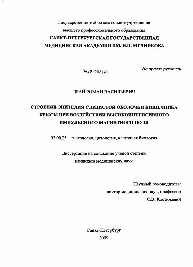 Строение эпителия слизистой оболочки кишечника крысы при воздействии высокоинтенсивного импульсного магнитного поля