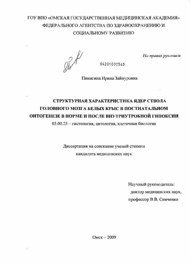 Структурная характеристика ядер ствола головного мозга белых крыс в постнатальном онтогенезе в норме и после внутриутробной гипоксии