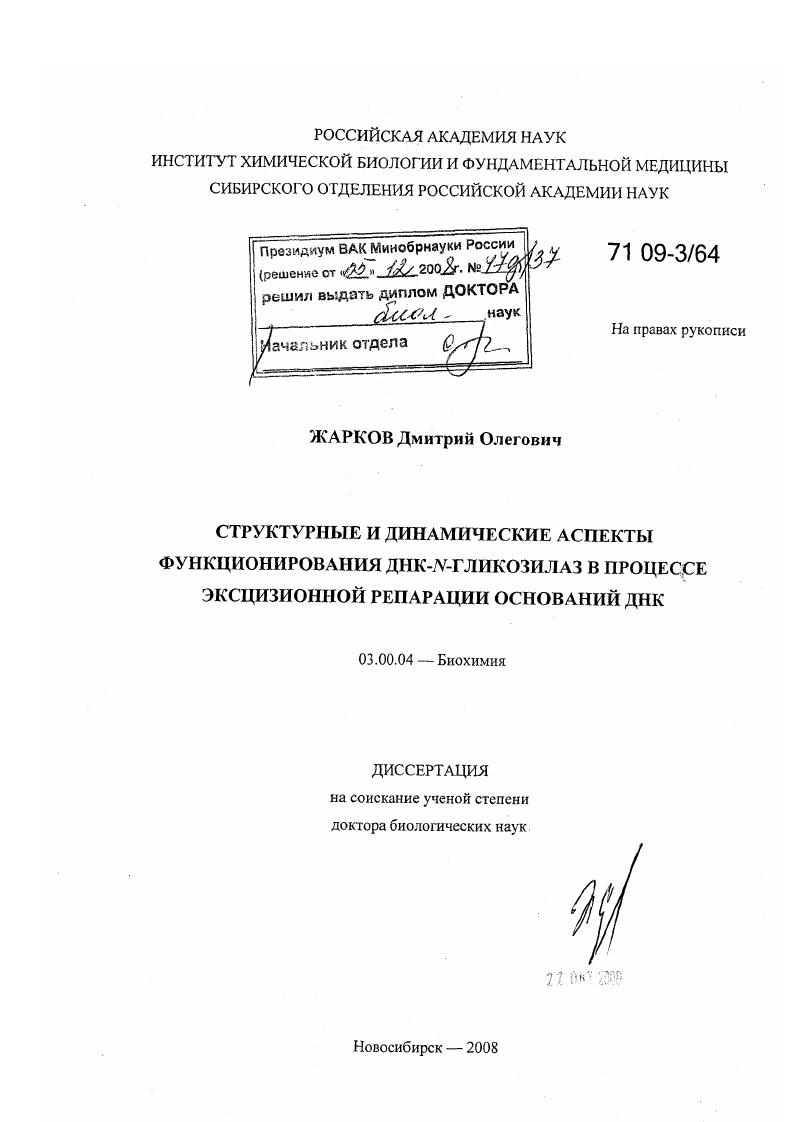 Структурные и динамические аспекты функционирования ДНК-N-гликозилаз в процессе эксцизионной репарации оснований ДНК