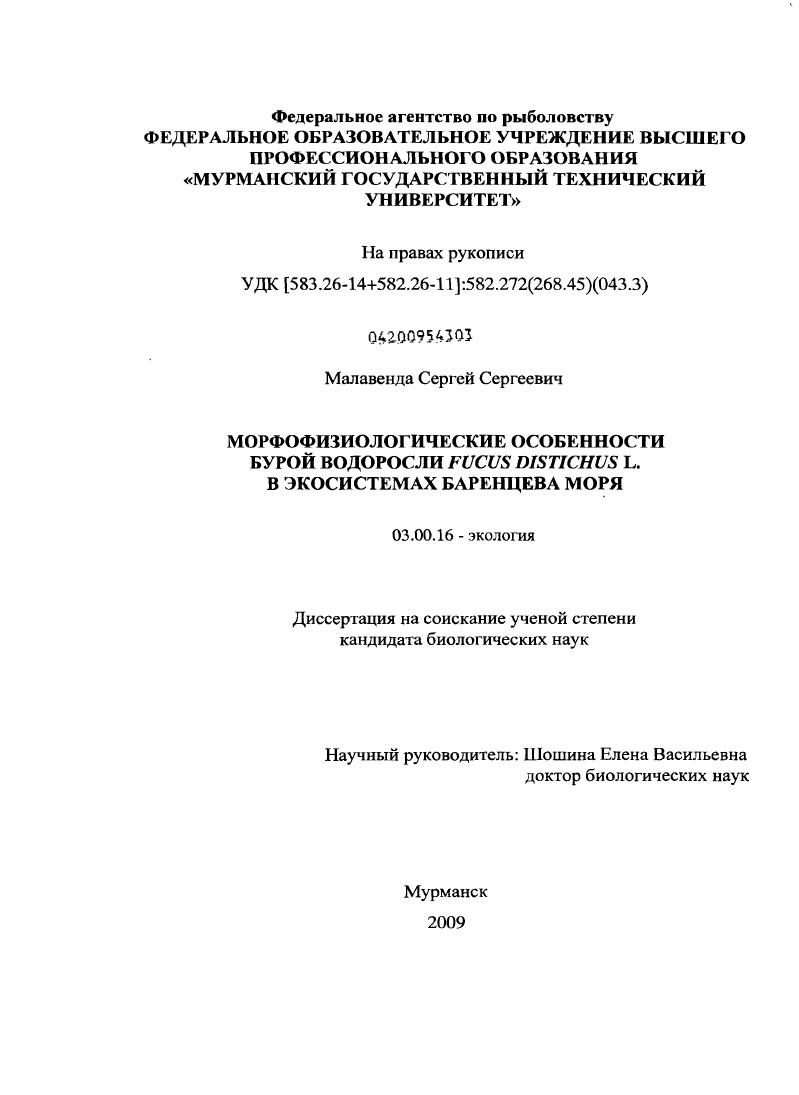 Морфофизиологические особенности бурой водоросли Fucus distichus L. в экосистемах Баренцева моря
