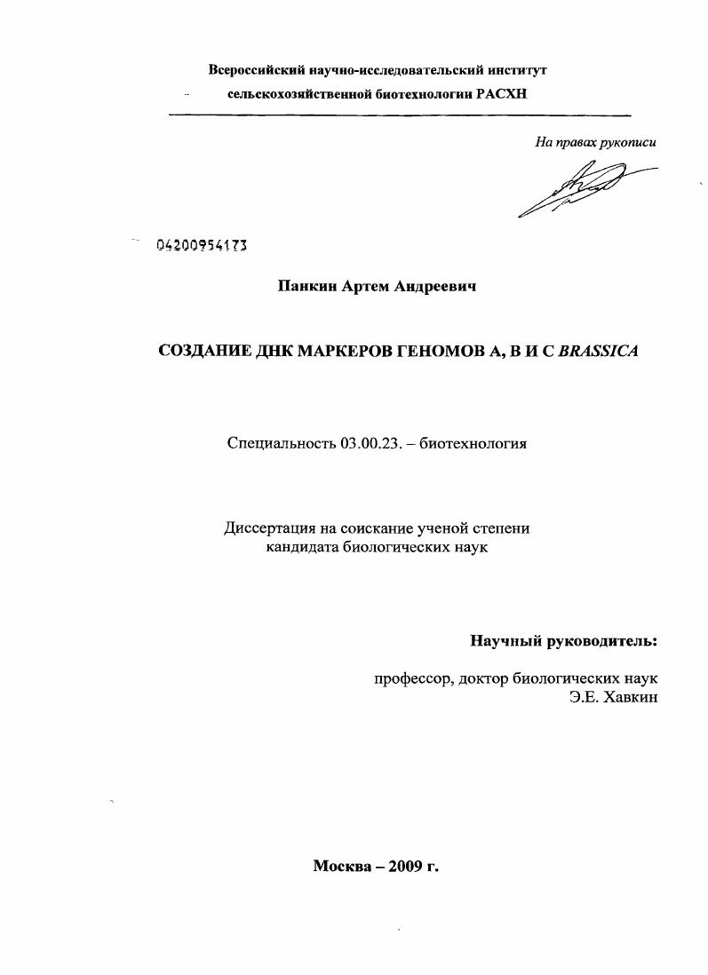Создание ДНК маркеров геномов A, B и C Brassica