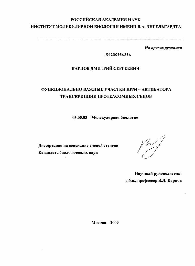 Функционально важные участки Rpn4 - активатора транскрипции протеасомных генов