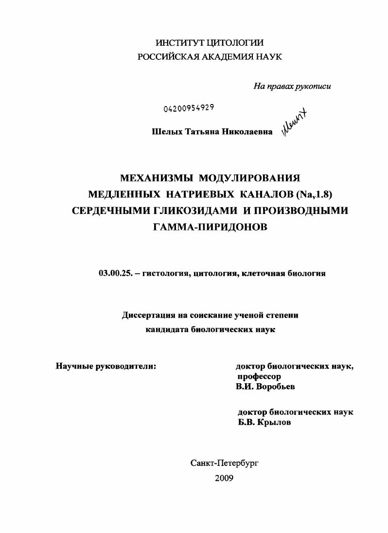 Механизмы модулирования медленных натриевых каналов (Nav1.8) сердечными гликозидами и производными гамма-пиридонов