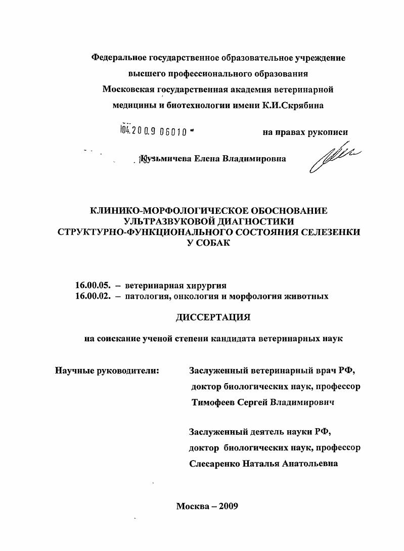 Клинико-морфологическое обоснование ультразвуковой диагностики структурно-функционального состояния селезенки у собак