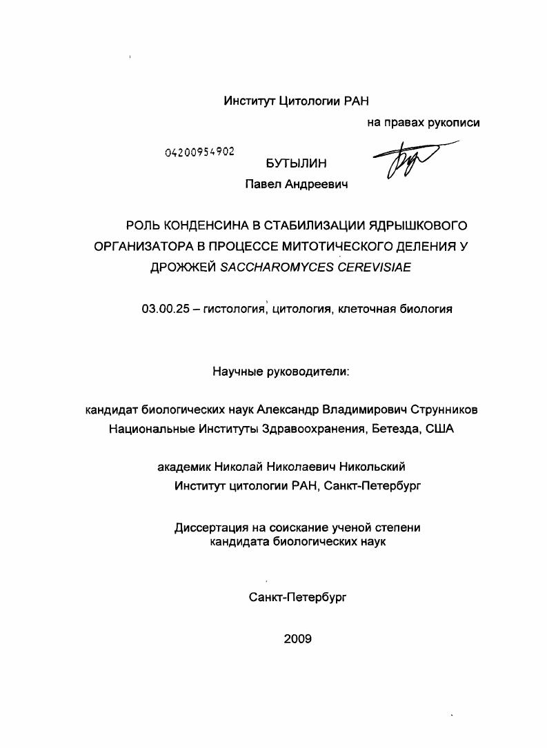 Роль конденсина в стабилизации ядрышкового организатора в процессе митотического деления у дрожжей Saccharomyces cerevisiae