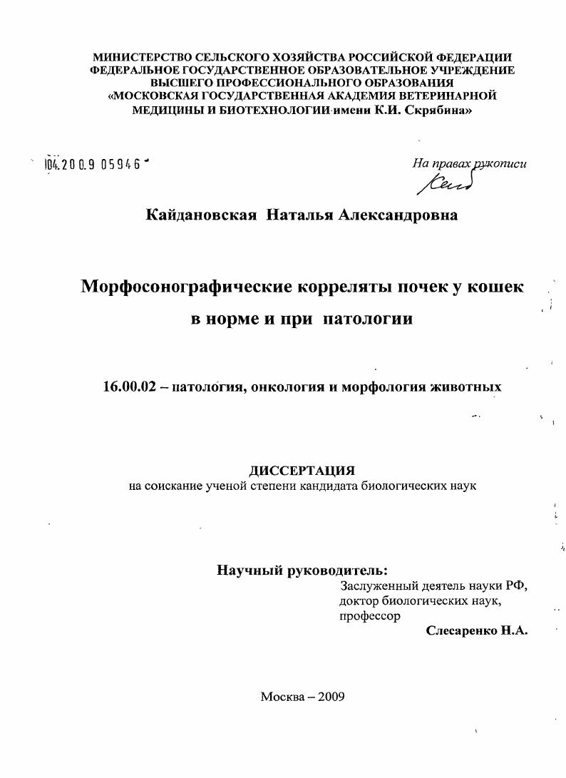 Морфосонографические корреляты почек у кошек в норме и при патологии