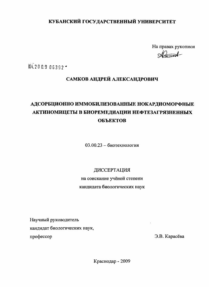 Адсорбционно иммобилизованные нокардиоморфные актиномицеты в биоремедиации нефтезагрязненных объектов