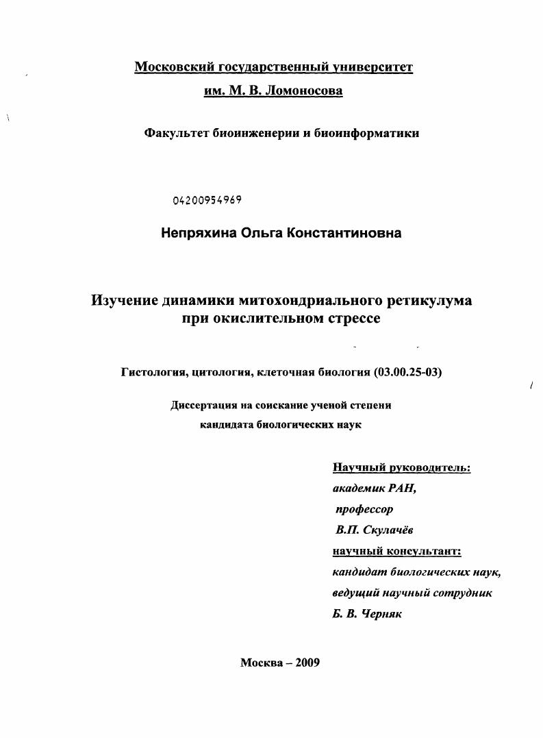 Изучение динамики митохондриального ретикулума при окислительном стрессе