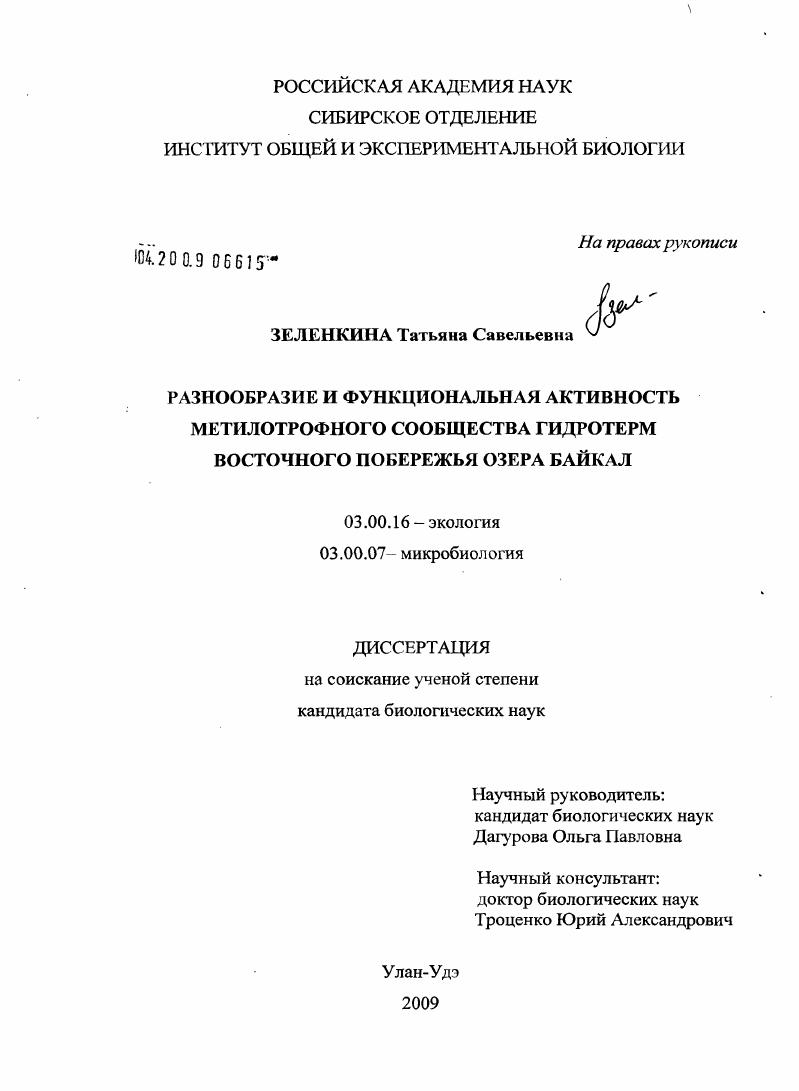 Разнообразие и функциональная активность метилотрофного сообщества гидротерм восточного побережья озера Байкал