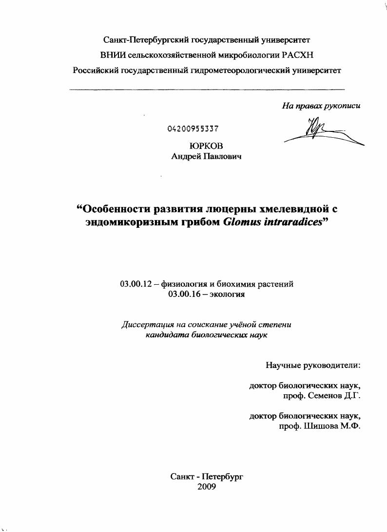 Особенности развития люцерны хмелевидной с эндомикоризным грибом Glomus intraradices