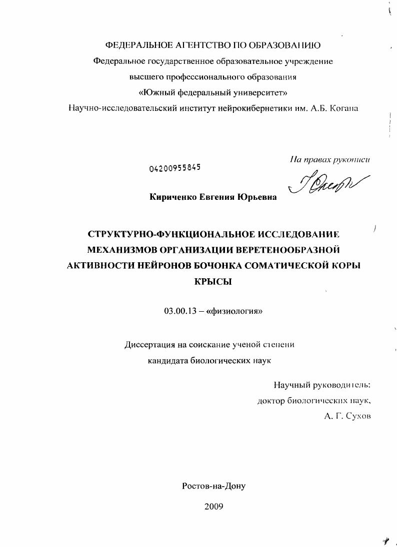 Структурно-функциональное исследование механизмов организации веретенообразной активности нейронов бочонка соматической коры крысы
