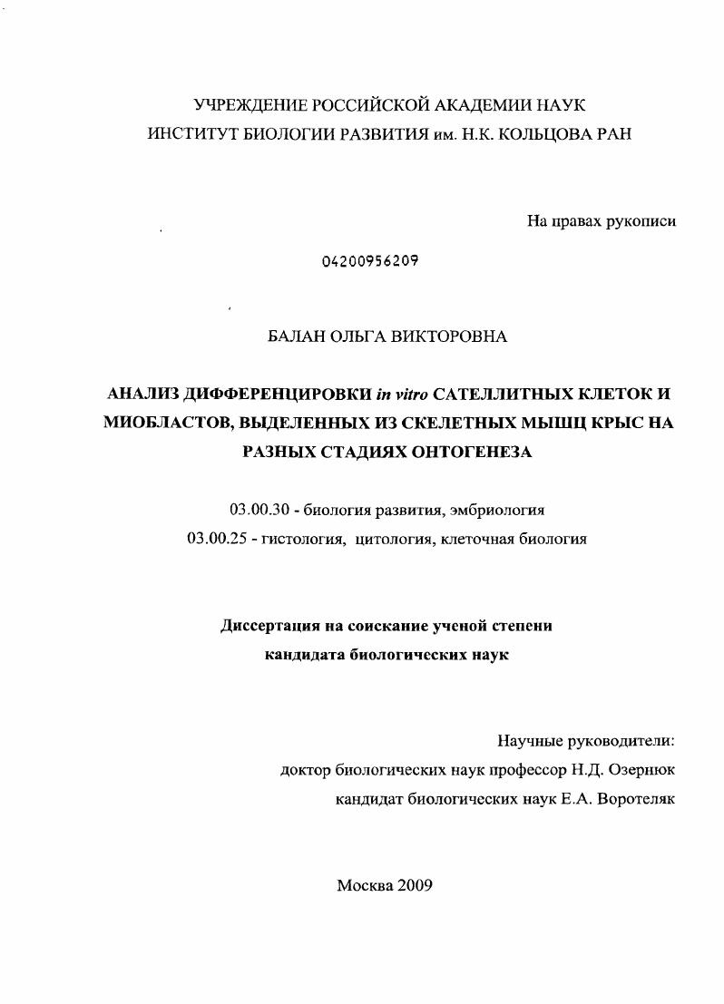 Анализ дифференцировки in vitro сателлитных клеток и миобластов, выделенных из скелетных мышц крыс на разных стадиях онтогенеза