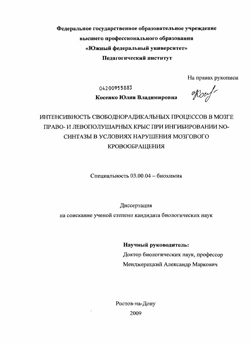 Интенсивность свободнорадикальных процессов в мозге право- и левополушарных крыс при ингибировании NO-синтазы в условиях нарушения мозгового кровообращения