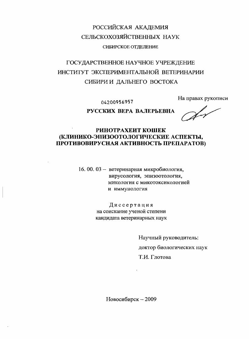 скачать диссертацию Ринотрахеит кошек : клинико-эпизоотологические аспекты, противовирусная активность препаратов Ринотрахеит кошек : клинико-эпизоотологические аспекты, противовирусная активность препаратов