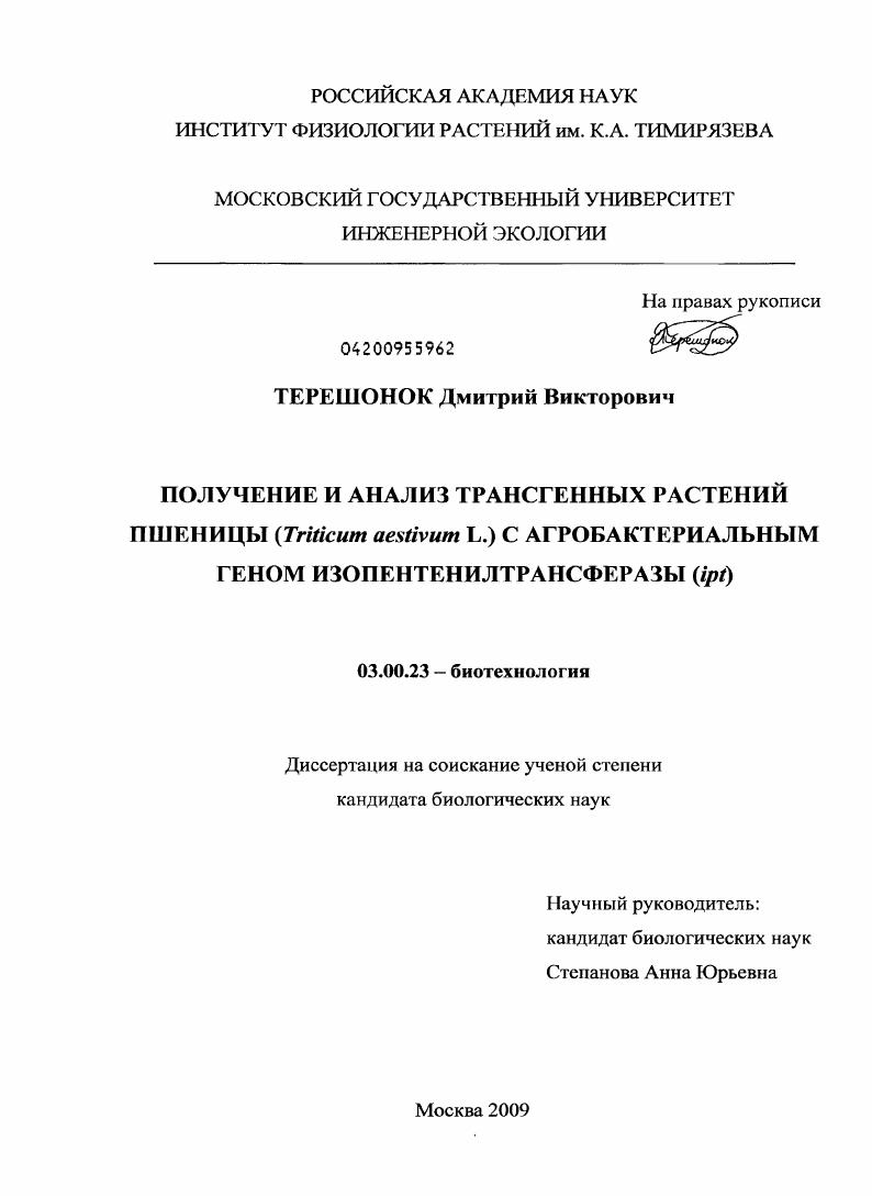 скачать диссертацию Получение и анализ трансгенных растений пшеницы (Triticum aestivum L.) с агробактериальным геном изопентенилтрансферазы (ipt) Получение и анализ трансгенных растений пшеницы (Triticum aestivum L.) с агробактериальным геном изопентенилтрансферазы (ipt)