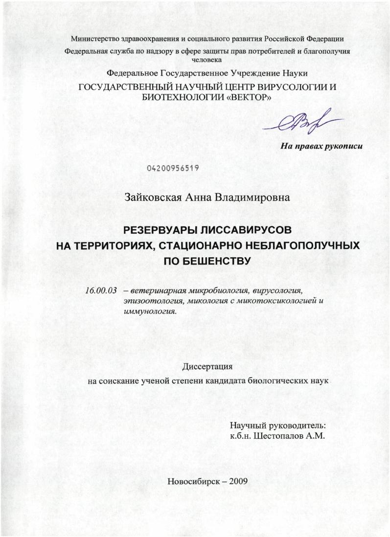 скачать диссертацию Резервуары лиссавирусов на территориях, стационарно неблагополучных по бешенству Резервуары лиссавирусов на территориях, стационарно неблагополучных по бешенству