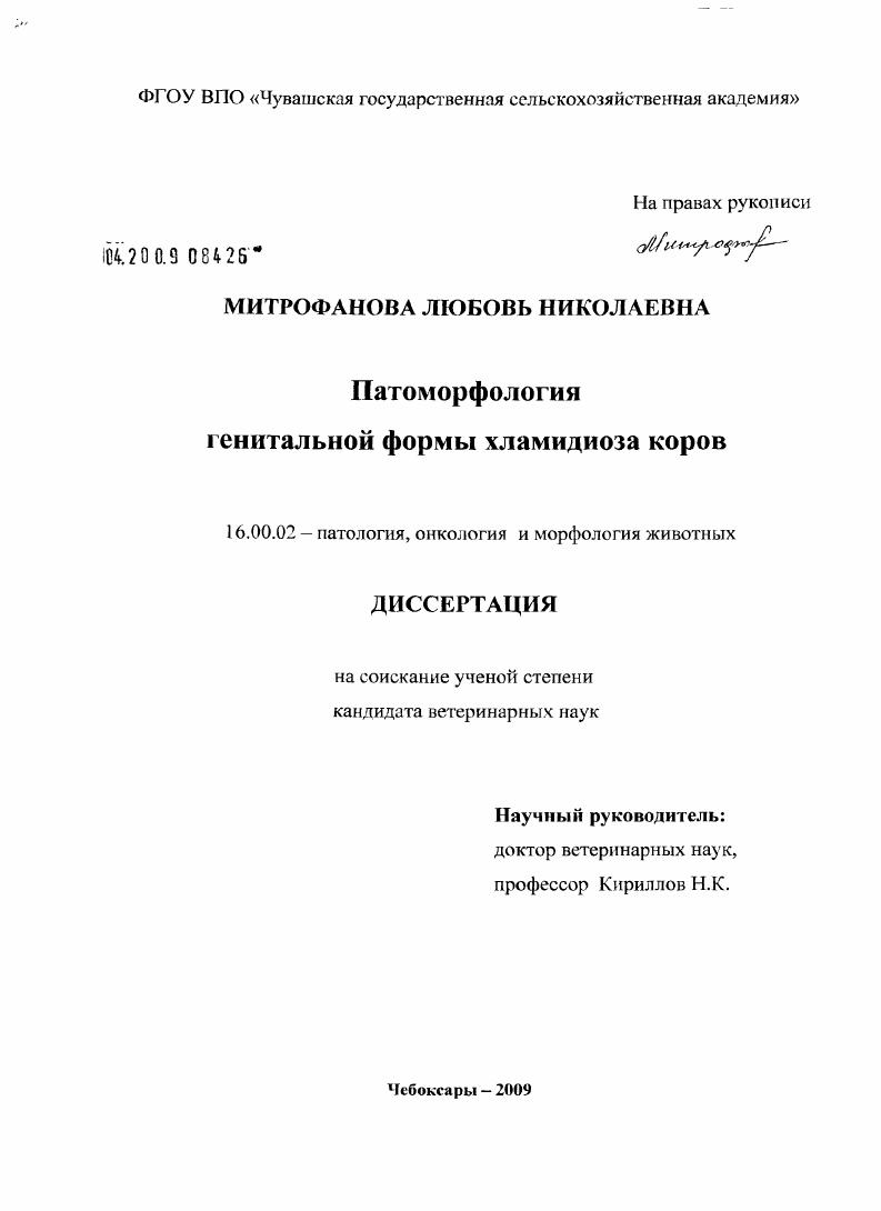 скачать диссертацию Патоморфология генитальной формы хламидиоза коров Патоморфология генитальной формы хламидиоза коров