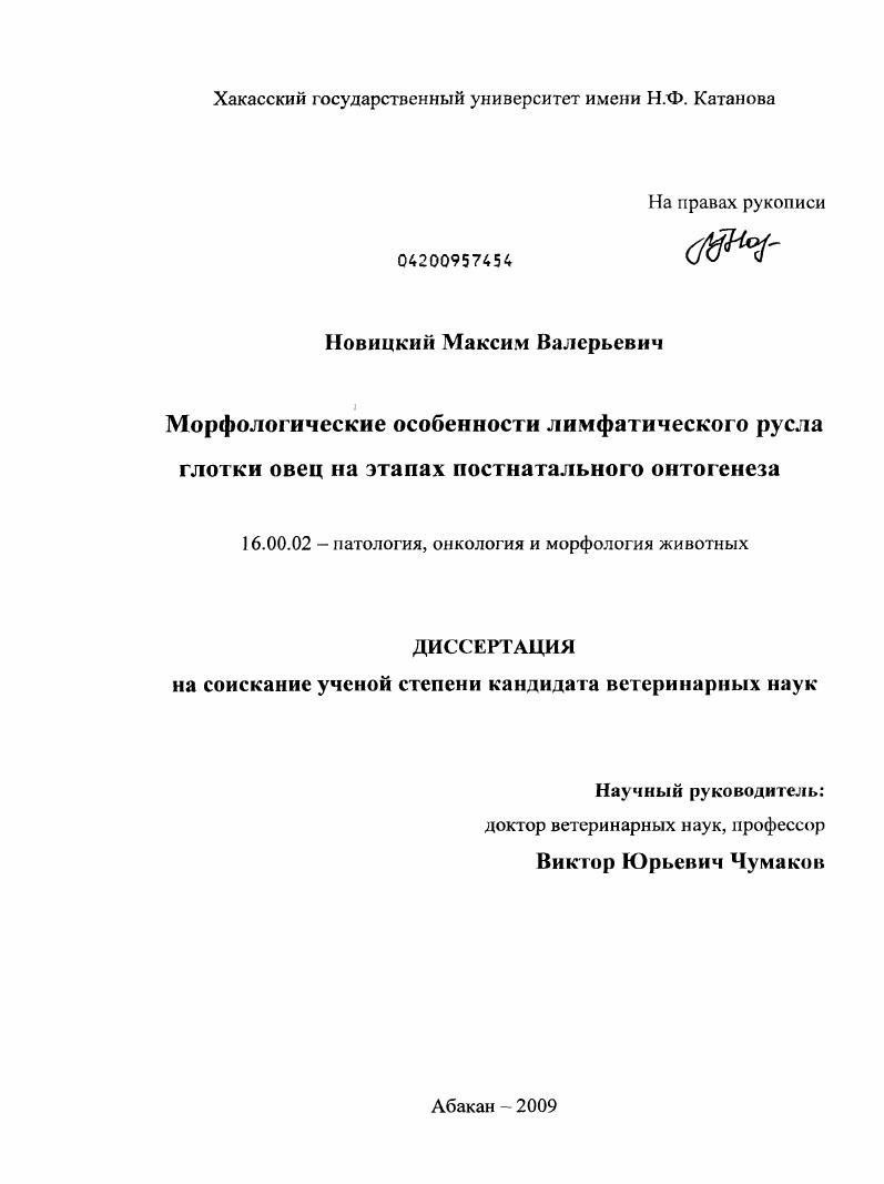 Морфологические особенности лимфатического русла глотки овец на этапах постнатального онтогенеза
