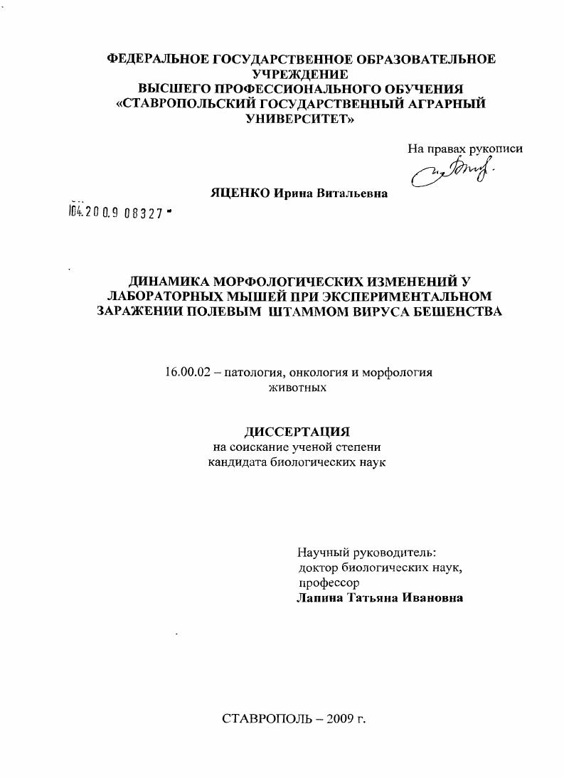 Динамика морфологических изменений у лабораторных мышей при экспериментальном заражении полевым штаммом вируса бешенства